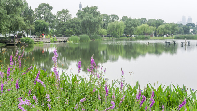 美丽风情