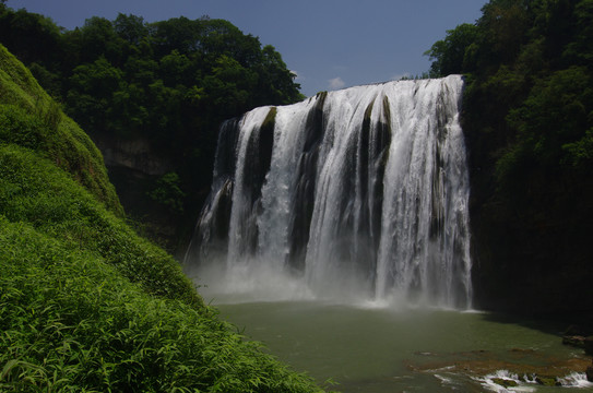 黄果树