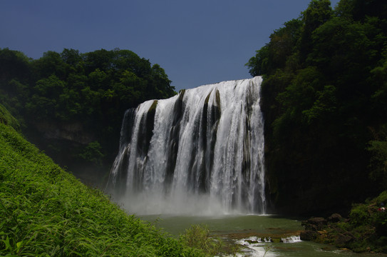 黄果树