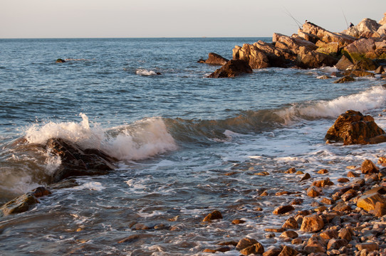 海岸