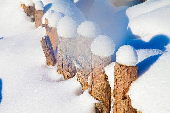 黑龙江省双峰林场雪乡