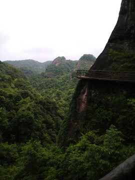 山