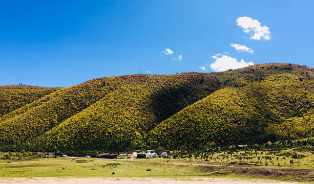 高原山脉