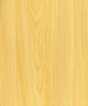 高清实木板材加州枫木