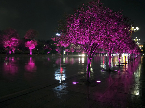 江西宜春城市雨后夜景