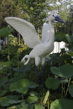 白鹤浮雕