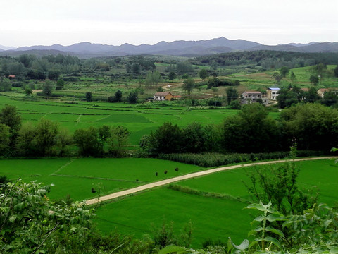 山区农田