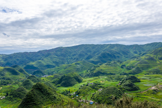 绿色山村