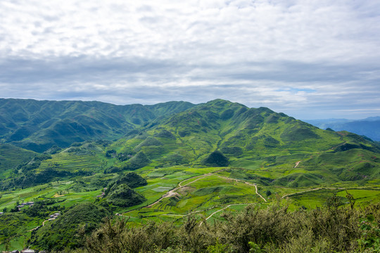 绿色山村