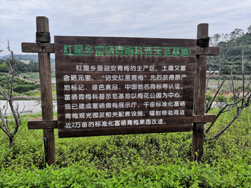 木牌