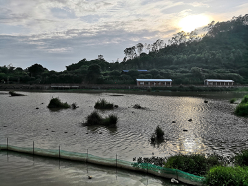 景区一角