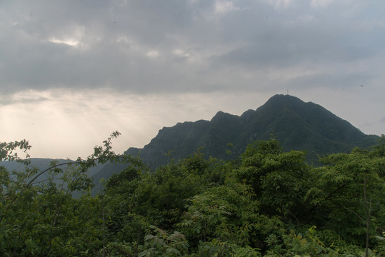 王山坪森林风光