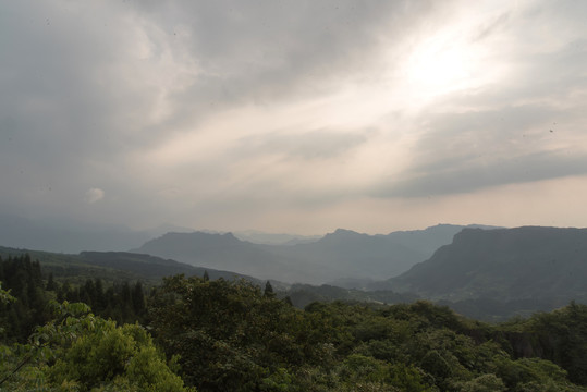 王山坪森林风光