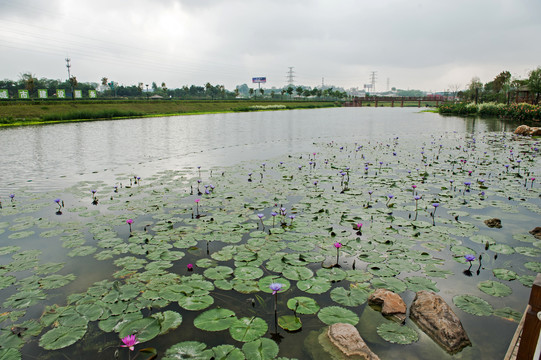 那考河湿地公园海绵城市