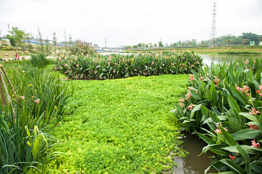 那考河湿地公园海绵城市