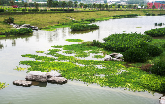 那考河湿地公园海绵城市