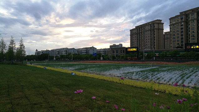 都市黄昏生态绿地