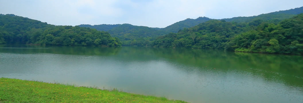 绿水青山