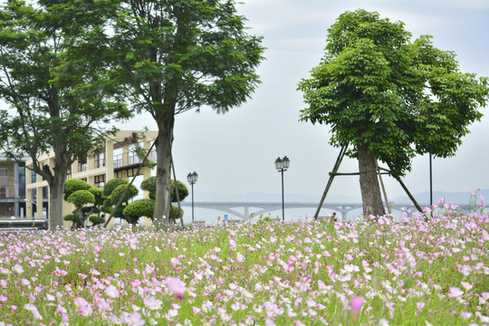 马尾东江滨公园