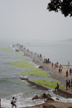 青岛海水浴场