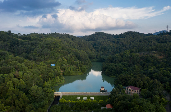 中山东区树木园