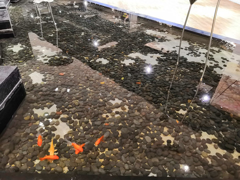 水池