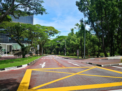 新加坡国立大学道路