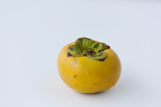 柿子摄影