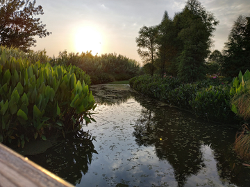 海东湿地夕阳