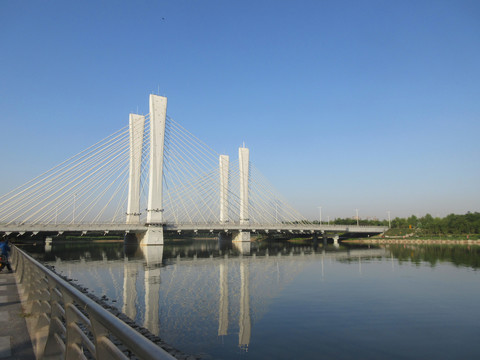 郑州龙湖斜拉索桥