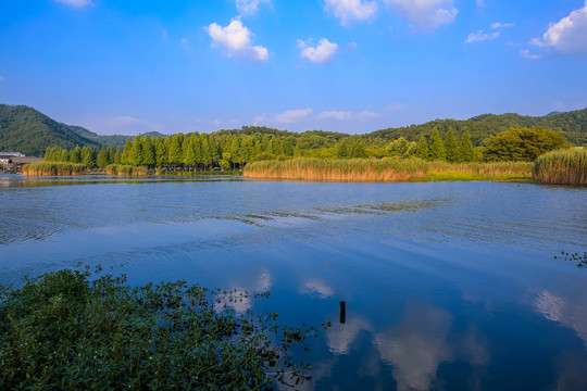 宁波马山湿地