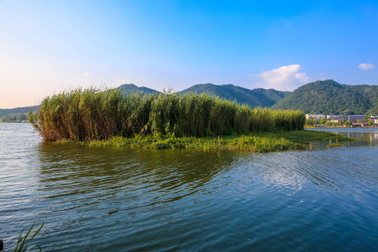 宁波马山湿地