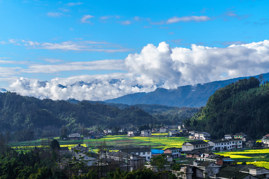 蓝天白云油菜花地四川民居