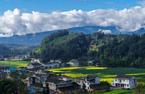 蓝天白云油菜花地四川民居