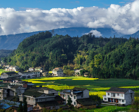 蓝天白云河流田园田野油菜花