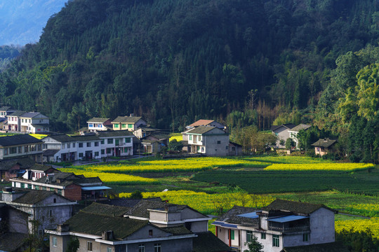 蓝天白云河流田园田野油菜花