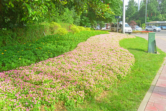 城市公共绿地园林设计之路沿花境