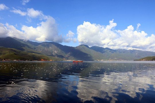 云南泸沽湖的水性杨花成为夏日旅