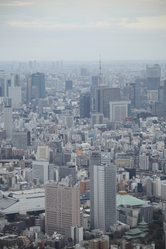 俯视东京