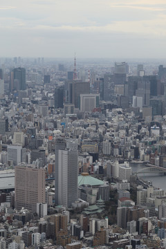 晴空塔俯视东京