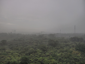 雨中