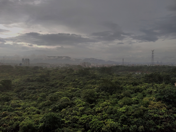 山雨欲来