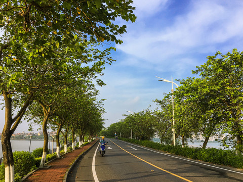 道路绿化交通标志