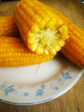 老玉米