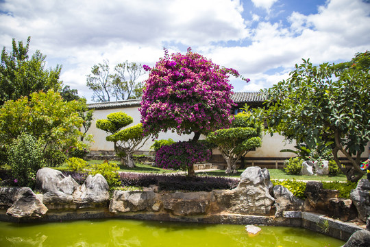 朱家花园古院落