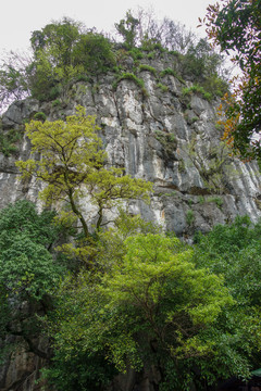 桂林石壁