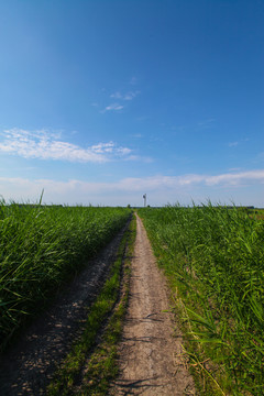 乡间小路