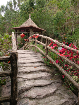 森林度假村景点