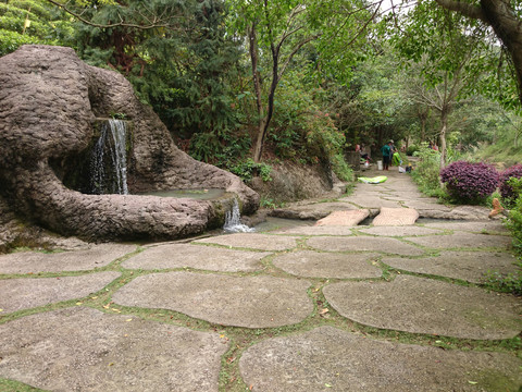 森林度假村景点