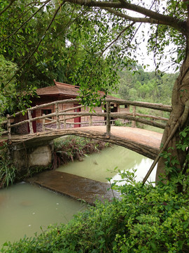 森林度假村景点